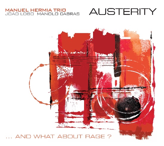 Manu Hermia Trio - Austerity...and what about rage? (f. dupuis-panther)