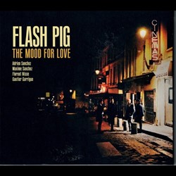 Flash Pig - In the Mood for Love