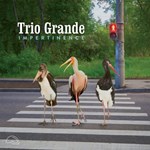 Trio Grande - Impertinence